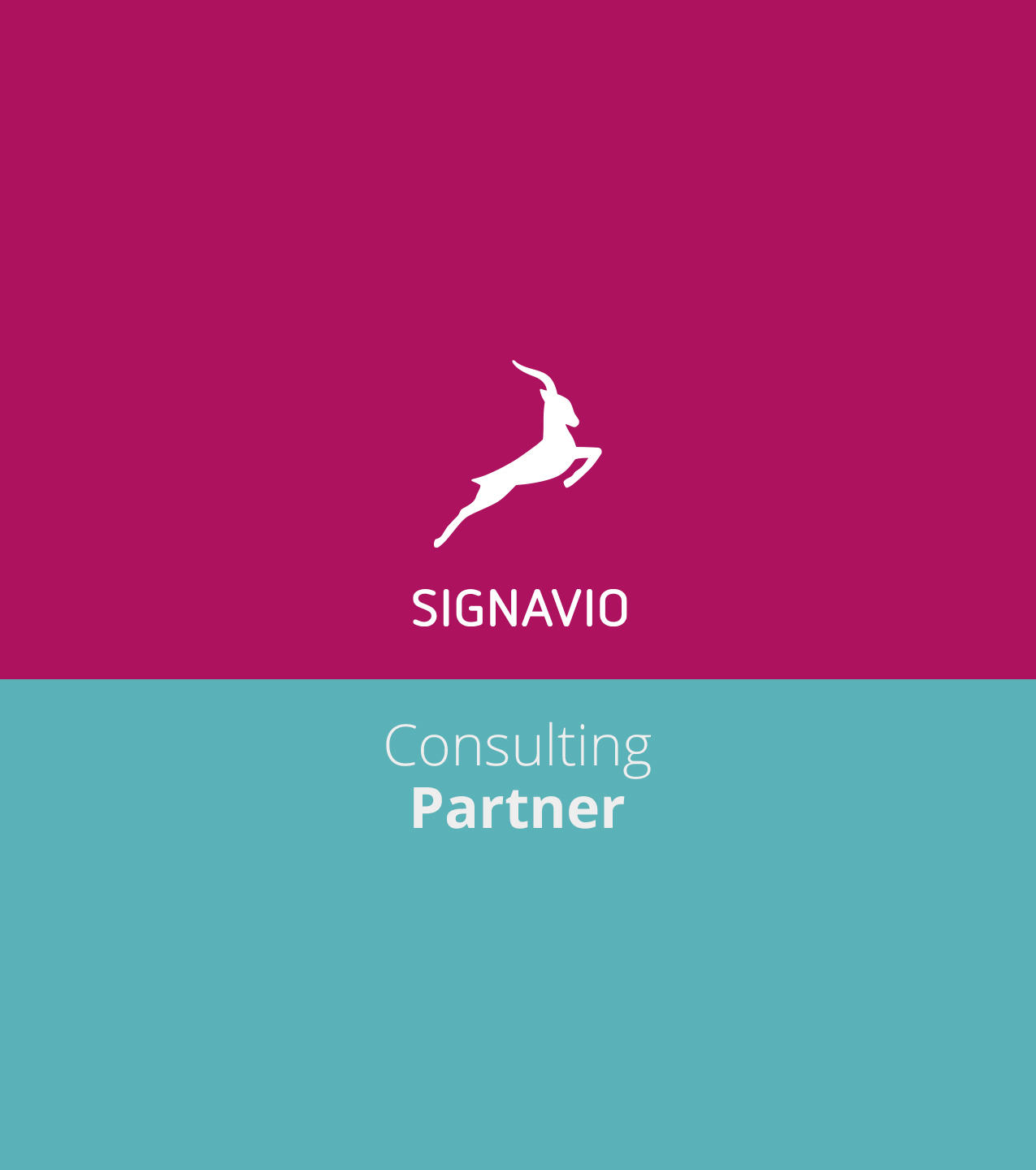 signavio partner