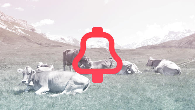 iot_logo iot_logo